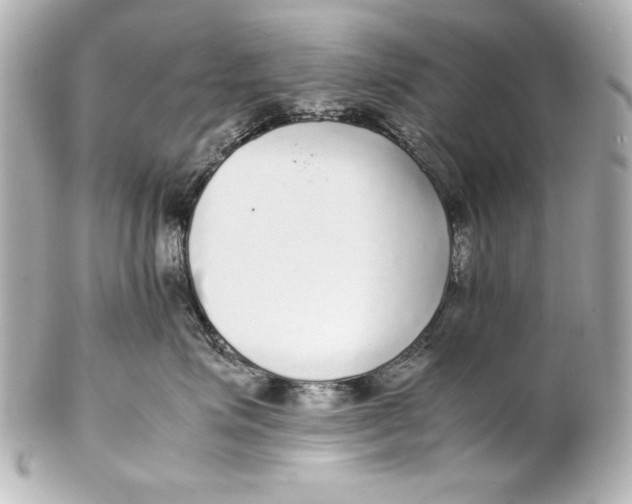 X0000102270623200808151906