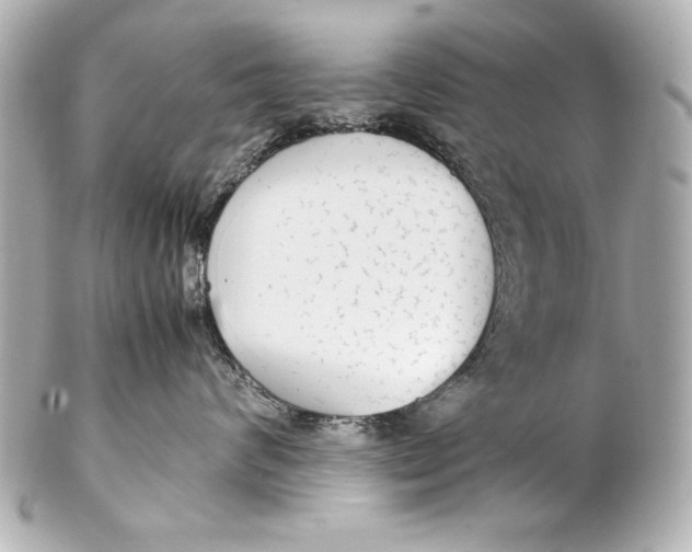 X0000102270624200808151906