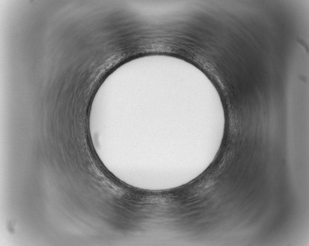 X0000102270625200808151905