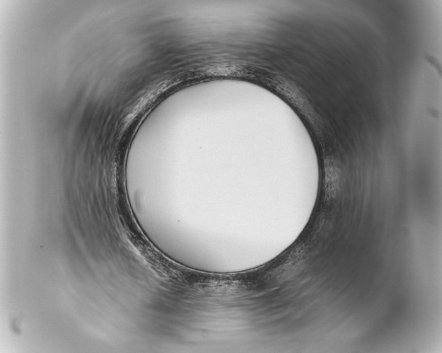 X0000102270626200808151905