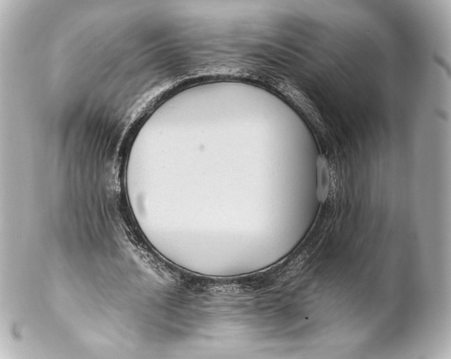 X0000102270628200808151905