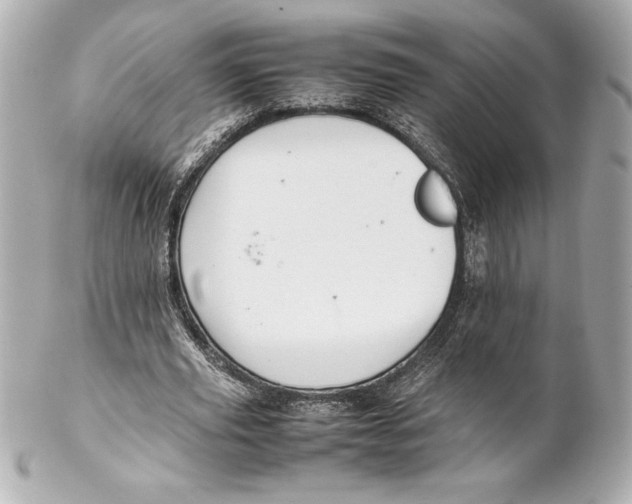 X0000102270629200808151905