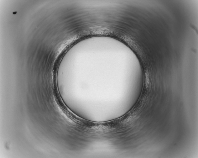 X0000102270630200808151905