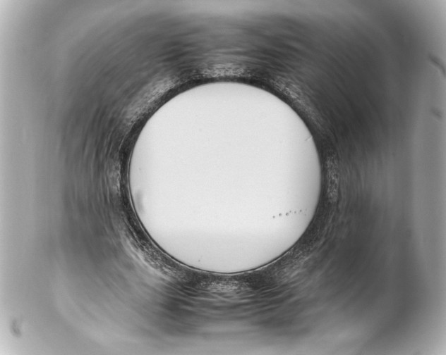 X0000102270631200808151905