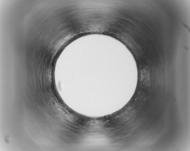 X0000102270632200808151905