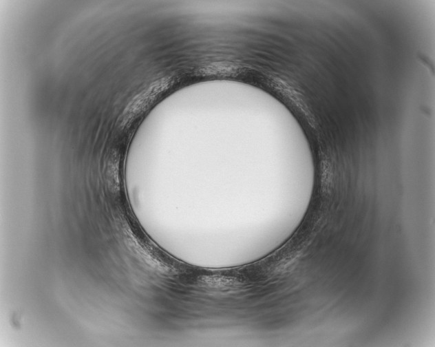 X0000102270633200808151905