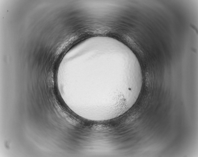 X0000102270634200808151905