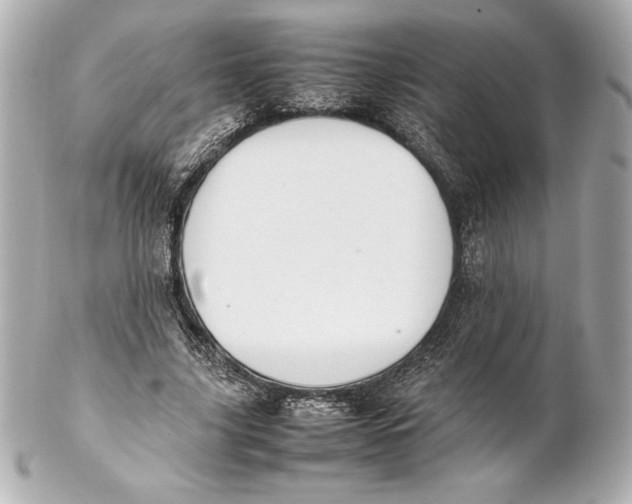 X0000102270635200808151905