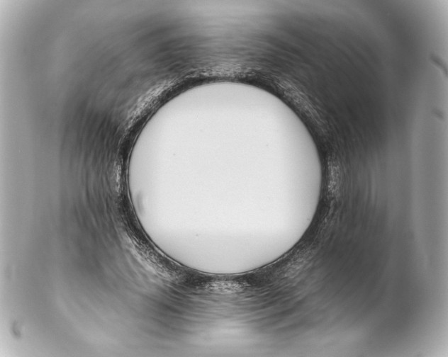 X0000102270636200808151905