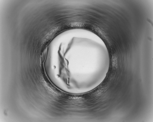 X0000102270637200808151905