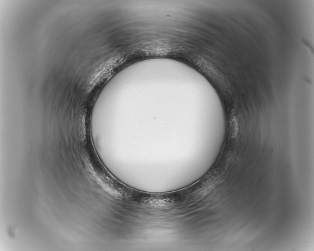 X0000102270638200808151905