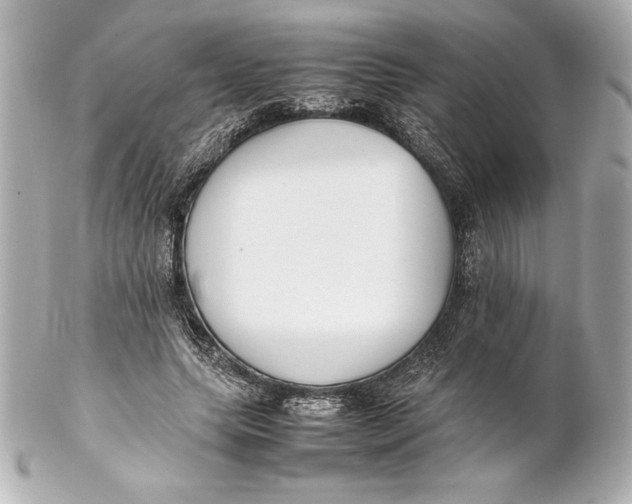 X0000102270639200808151905