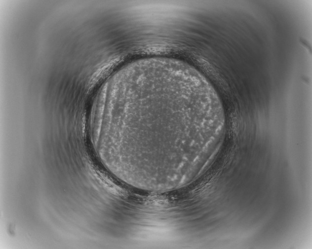 X0000102270640200808151905