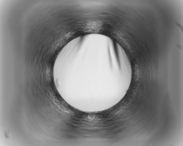 X0000102270641200808151905