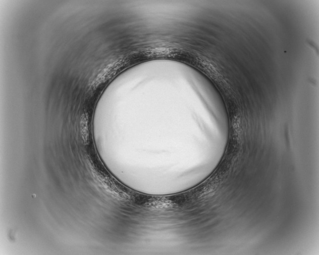 X0000102270642200808151905