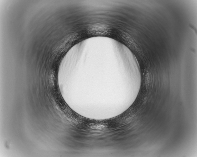 X0000102270643200808151905