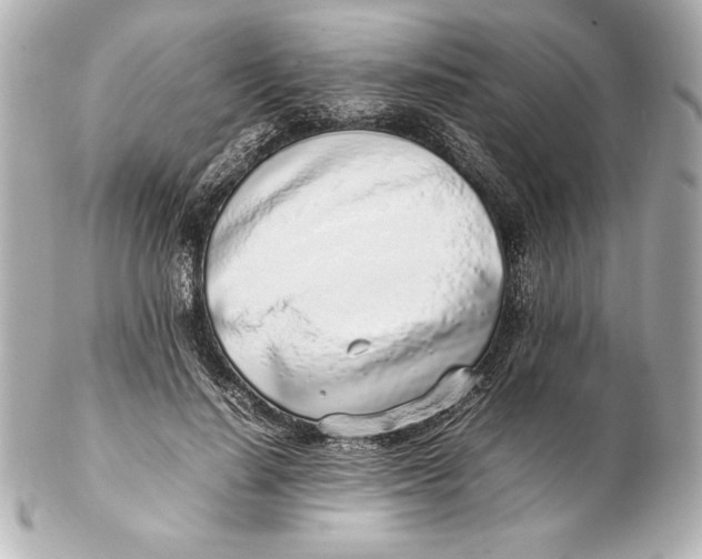 X0000102270644200808151905