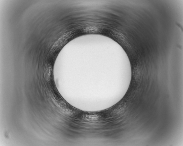 X0000102270645200808151905