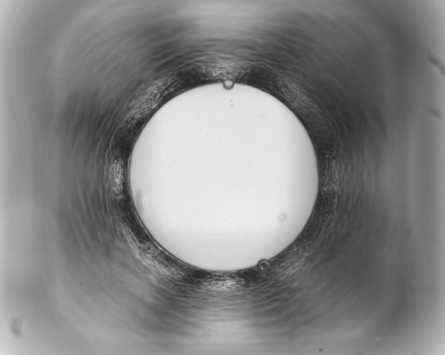 X0000102270646200808151905