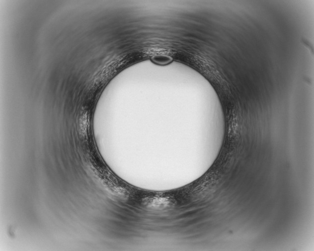 X0000102270647200808151905