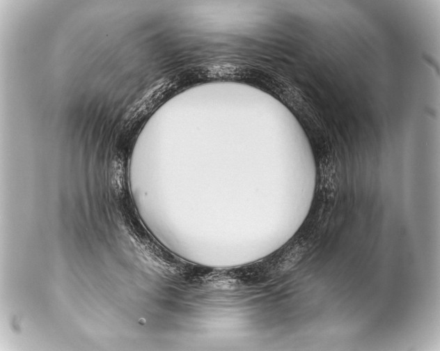 X0000102270648200808151905