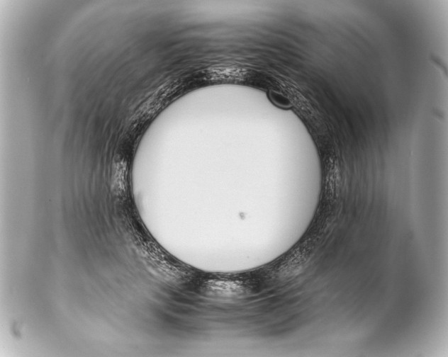 X0000102270649200808151905