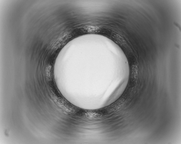 X0000102270650200808151905