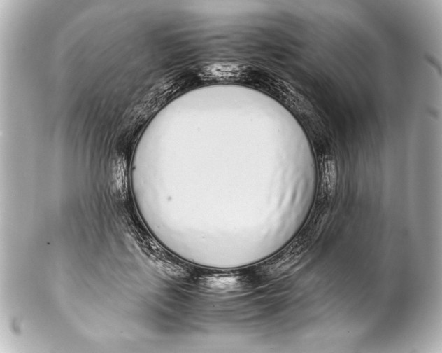 X0000102270651200808151905