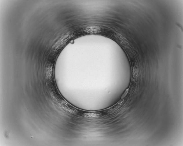 X0000102270652200808151905