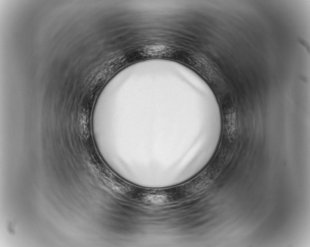 X0000102270653200808151905