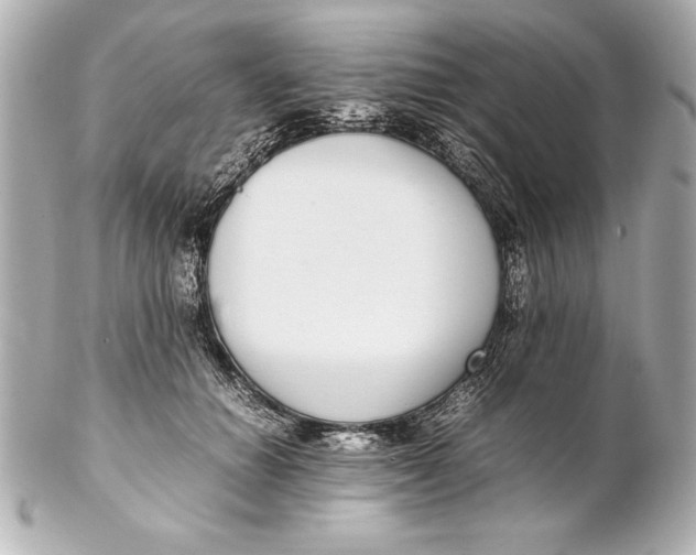 X0000102270654200808151905