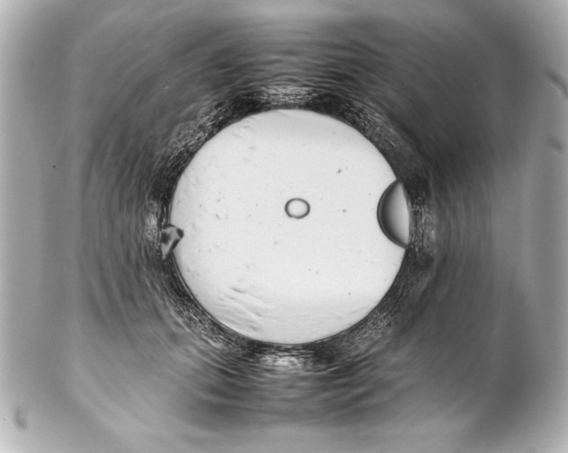 X0000102270655200808151905