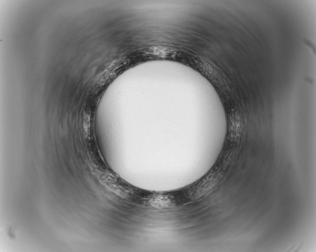 X0000102270656200808151905