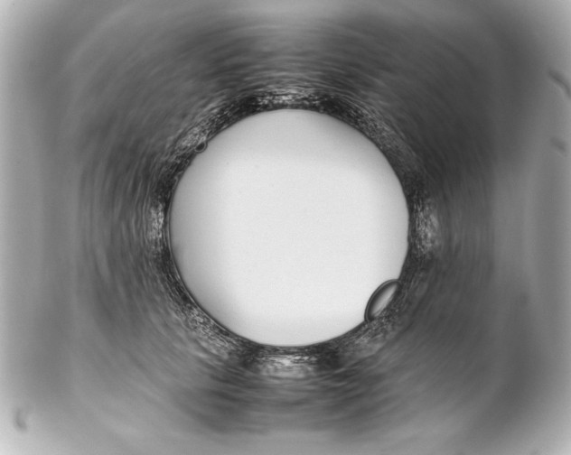 X0000102270657200808151905