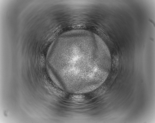 X0000102270659200808151906