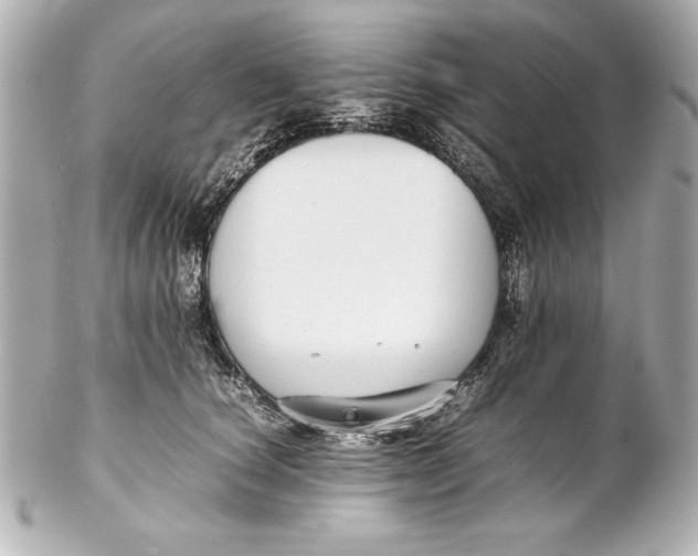 X0000102270660200808151906