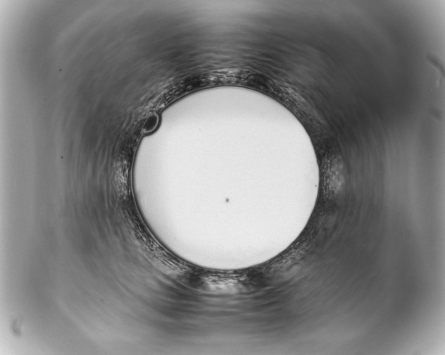 X0000102270661200808151906