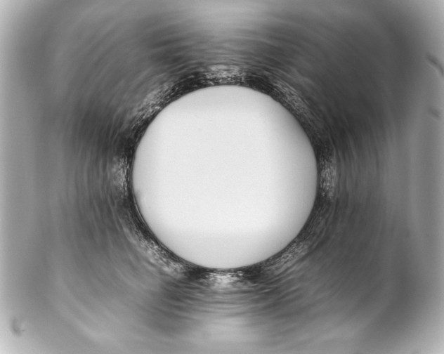 X0000102270662200808151906