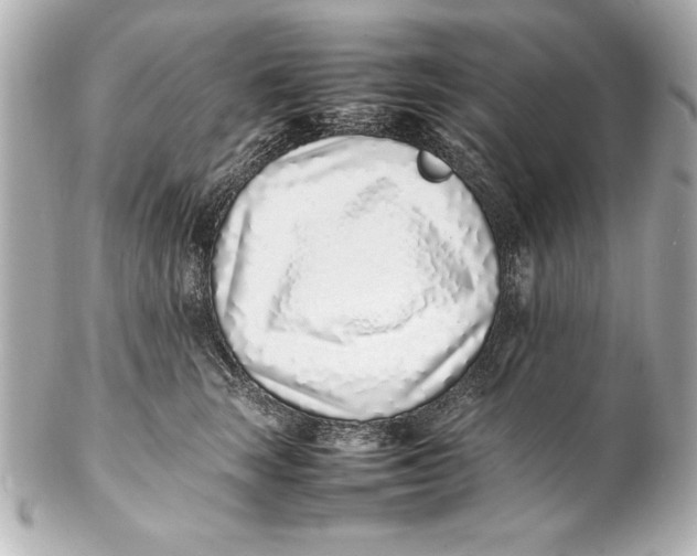 X0000102270663200808151906