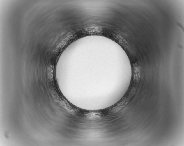 X0000102270664200808151906