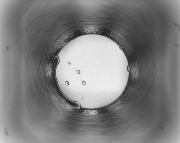 X0000102270665200808151906