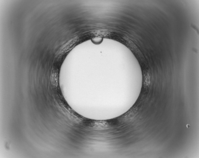 X0000102270666200808151906