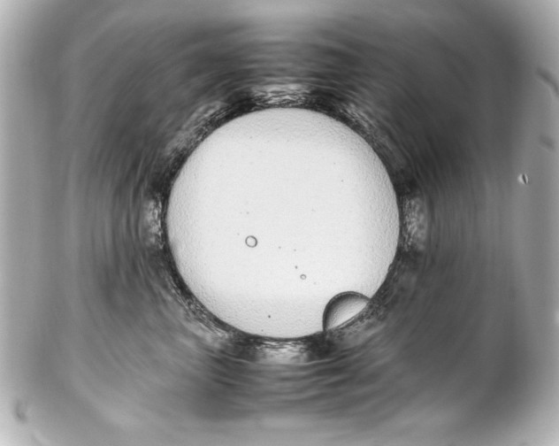 X0000102270667200808151906