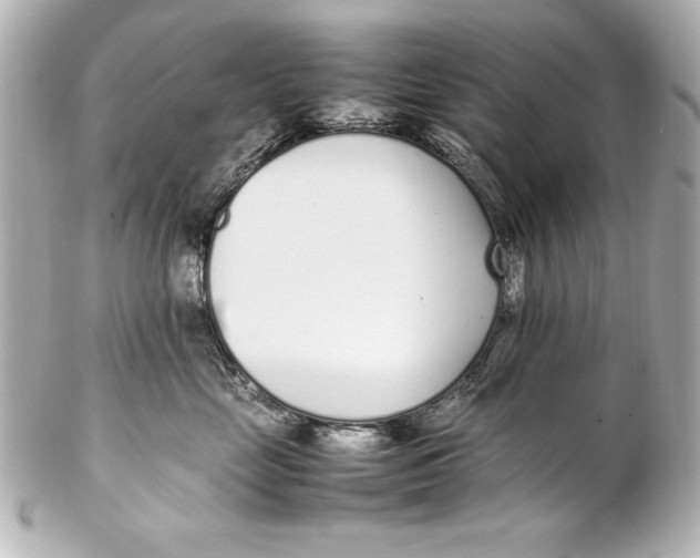 X0000102270669200808151906