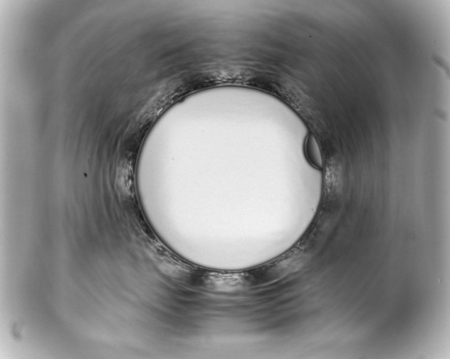 X0000102270671200808151906