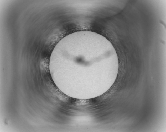 X0000102270672200808151906