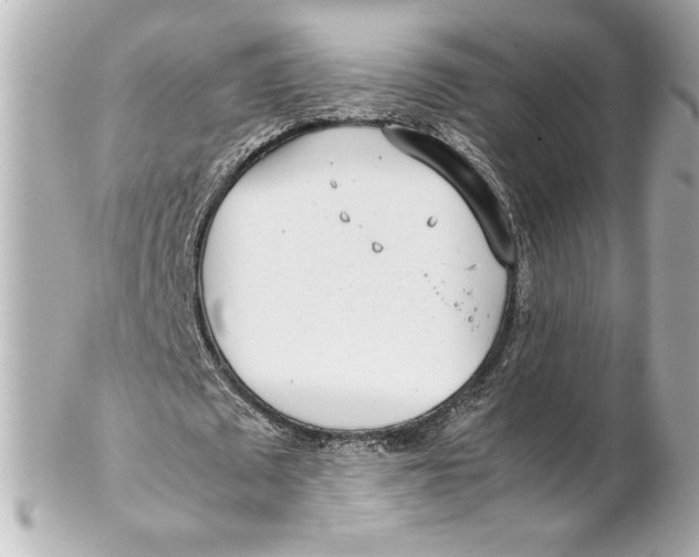 X0000102270673200808151905