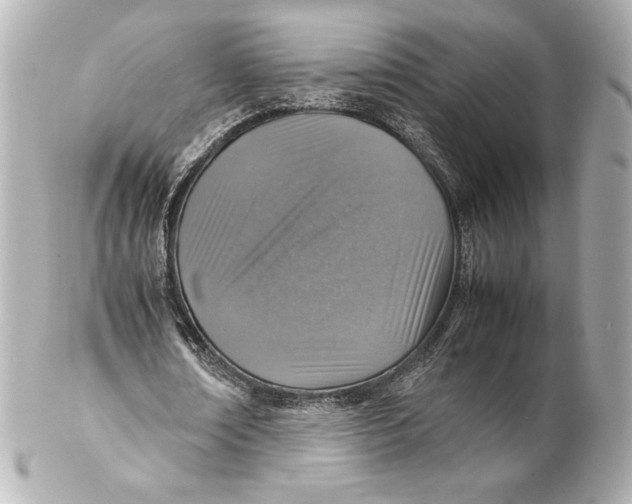 X0000102270674200808151905