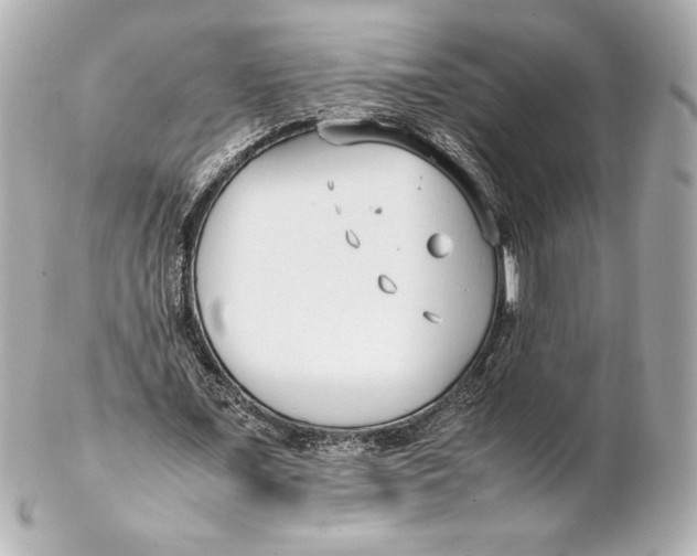 X0000102270675200808151905