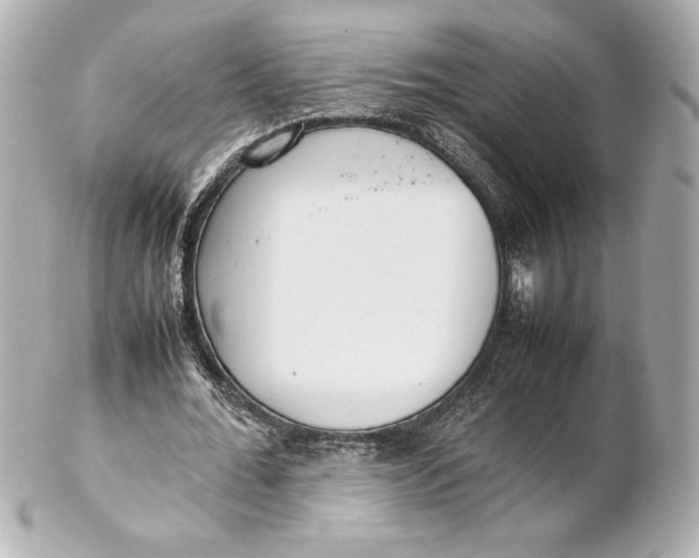 X0000102270676200808151905